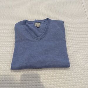 J. Crew 100% Merino Wool V-neck Sweater EUC
